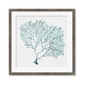 Picture of Teal Coral I  _GroupedProduct_Square_Framed_Matted_