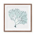 Picture of Teal Coral I  _GroupedProduct_Square_Framed_Matted_