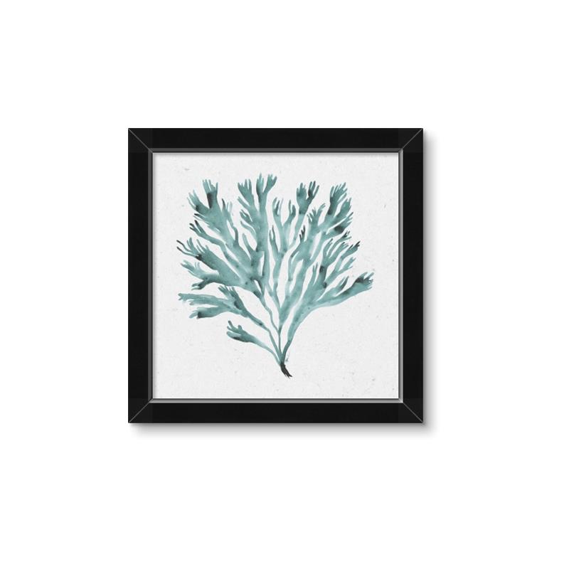 Picture of Teal Coral II  _GroupedProduct_Square_Framed_Matted_