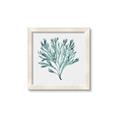 Picture of Teal Coral II  _GroupedProduct_Square_Framed_Matted_