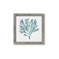Picture of Teal Coral II  _GroupedProduct_Square_Framed_Matted_