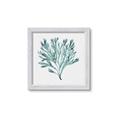 Picture of Teal Coral II  _GroupedProduct_Square_Framed_Matted_