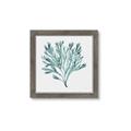 Picture of Teal Coral II  _GroupedProduct_Square_Framed_Matted_