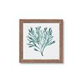 Picture of Teal Coral II  _GroupedProduct_Square_Framed_Matted_
