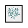 Picture of Teal Coral II  _GroupedProduct_Square_Framed_Matted_