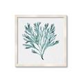 Picture of Teal Coral II  _GroupedProduct_Square_Framed_Matted_