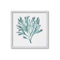 Picture of Teal Coral II  _GroupedProduct_Square_Framed_Matted_
