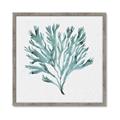 Picture of Teal Coral II  _GroupedProduct_Square_Framed_Matted_