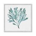 Picture of Teal Coral II  _GroupedProduct_Square_Framed_Matted_