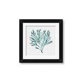 Picture of Teal Coral II  _GroupedProduct_Square_Framed_Matted_