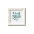 Picture of Teal Coral II  _GroupedProduct_Square_Framed_Matted_