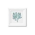Picture of Teal Coral II  _GroupedProduct_Square_Framed_Matted_