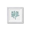 Picture of Teal Coral II  _GroupedProduct_Square_Framed_Matted_