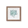 Picture of Teal Coral II  _GroupedProduct_Square_Framed_Matted_