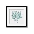 Picture of Teal Coral II  _GroupedProduct_Square_Framed_Matted_