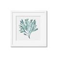 Picture of Teal Coral II  _GroupedProduct_Square_Framed_Matted_