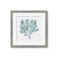 Picture of Teal Coral II  _GroupedProduct_Square_Framed_Matted_