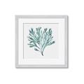 Picture of Teal Coral II  _GroupedProduct_Square_Framed_Matted_