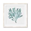 Picture of Teal Coral II  _GroupedProduct_Square_Framed_Matted_