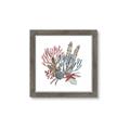 Picture of Ocean Coral l _GroupedProduct_Square_Framed_Matted_