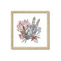 Picture of Ocean Coral l _GroupedProduct_Square_Framed_Matted_