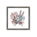 Picture of Ocean Coral l _GroupedProduct_Square_Framed_Matted_