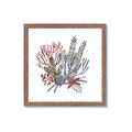 Picture of Ocean Coral l _GroupedProduct_Square_Framed_Matted_