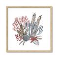 Picture of Ocean Coral l _GroupedProduct_Square_Framed_Matted_