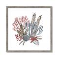Picture of Ocean Coral l _GroupedProduct_Square_Framed_Matted_