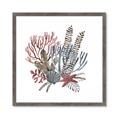 Picture of Ocean Coral l _GroupedProduct_Square_Framed_Matted_