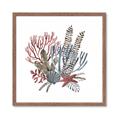 Picture of Ocean Coral l _GroupedProduct_Square_Framed_Matted_