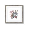 Picture of Ocean Coral l _GroupedProduct_Square_Framed_Matted_