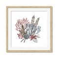 Picture of Ocean Coral l _GroupedProduct_Square_Framed_Matted_