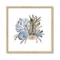 Picture of Ocean Coral ll _GroupedProduct_Square_Framed_Matted_