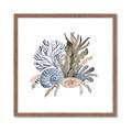 Picture of Ocean Coral ll _GroupedProduct_Square_Framed_Matted_