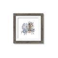 Picture of Ocean Coral ll _GroupedProduct_Square_Framed_Matted_