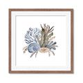 Picture of Ocean Coral ll _GroupedProduct_Square_Framed_Matted_