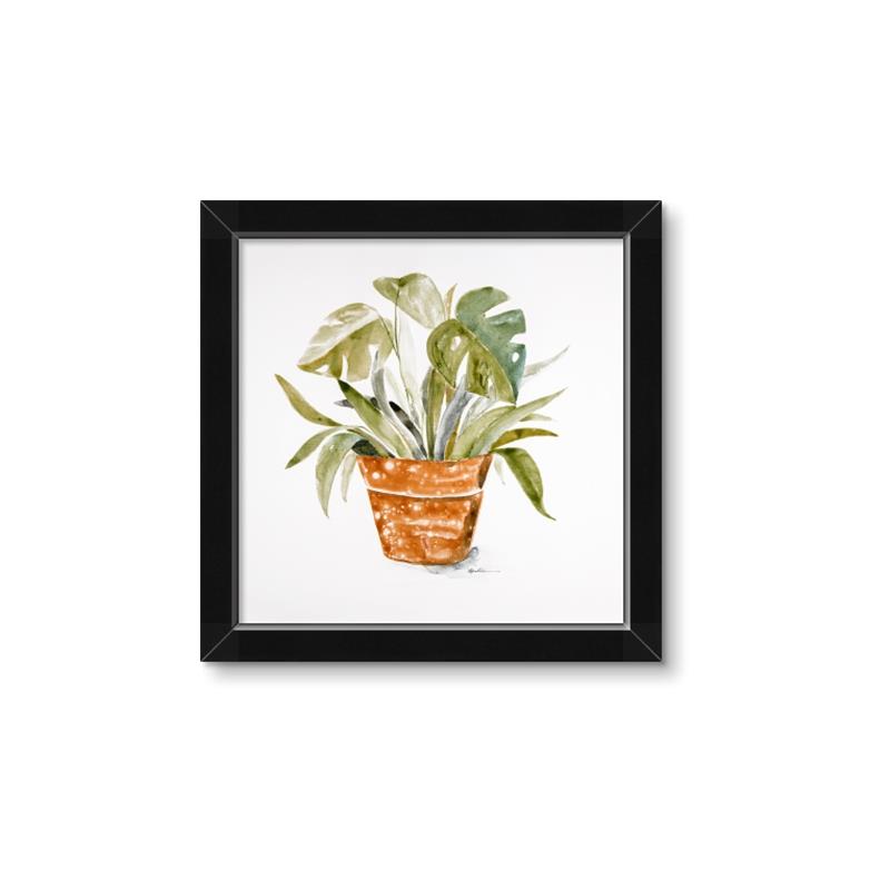 Picture of Palm Plant _GroupedProduct_Square_Framed_Matted_