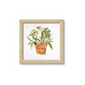 Picture of Palm Plant _GroupedProduct_Square_Framed_Matted_