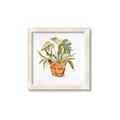 Picture of Palm Plant _GroupedProduct_Square_Framed_Matted_