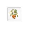 Picture of Palm Plant _GroupedProduct_Square_Framed_Matted_