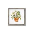 Picture of Palm Plant _GroupedProduct_Square_Framed_Matted_