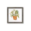 Picture of Palm Plant _GroupedProduct_Square_Framed_Matted_