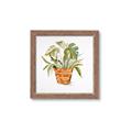 Picture of Palm Plant _GroupedProduct_Square_Framed_Matted_