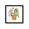 Picture of Palm Plant _GroupedProduct_Square_Framed_Matted_