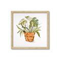 Picture of Palm Plant _GroupedProduct_Square_Framed_Matted_