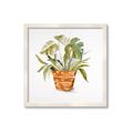 Picture of Palm Plant _GroupedProduct_Square_Framed_Matted_