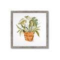 Picture of Palm Plant _GroupedProduct_Square_Framed_Matted_