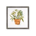 Picture of Palm Plant _GroupedProduct_Square_Framed_Matted_