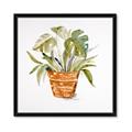 Picture of Palm Plant _GroupedProduct_Square_Framed_Matted_